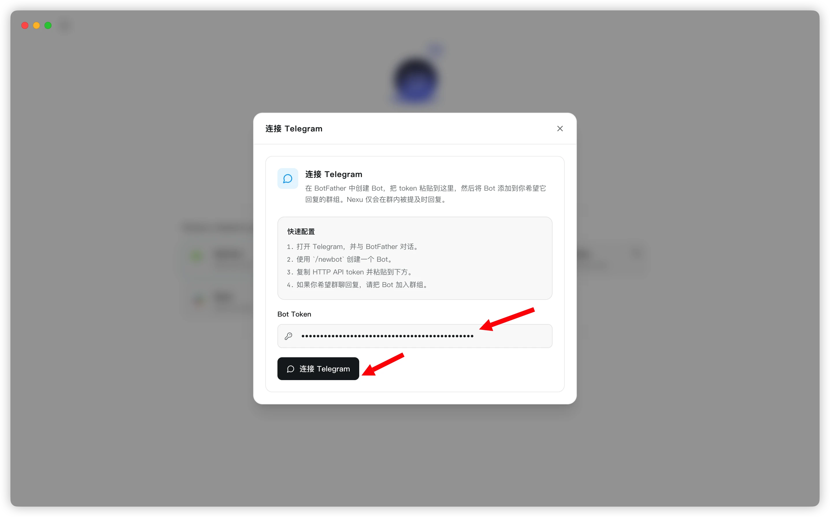 Enter Bot Token and connect